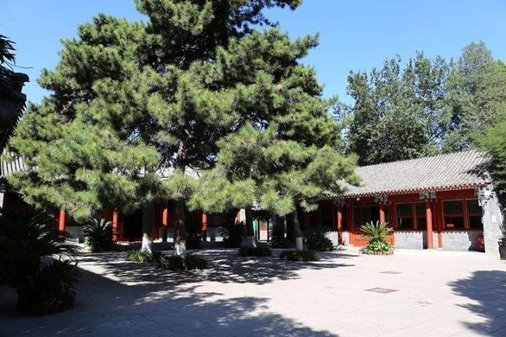 陵园环境